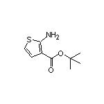 tert-Butyl 2-Aminothiophene-3-carboxylate 化学構造式