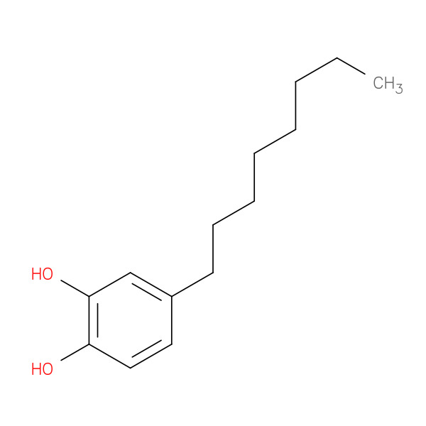 1,2-BENZENEDIOL,4-OCTYL- 化学構造式
