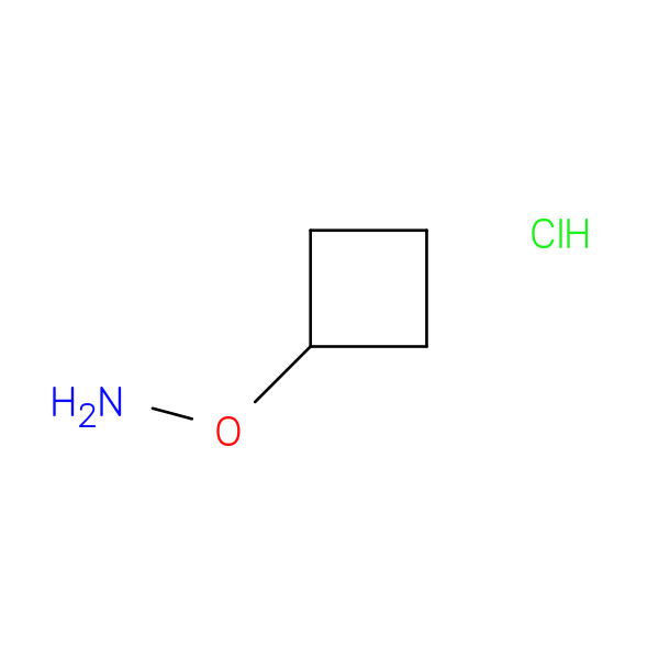 O-Cyclobutyl-hydroxylamine hydrochloride 化学構造式