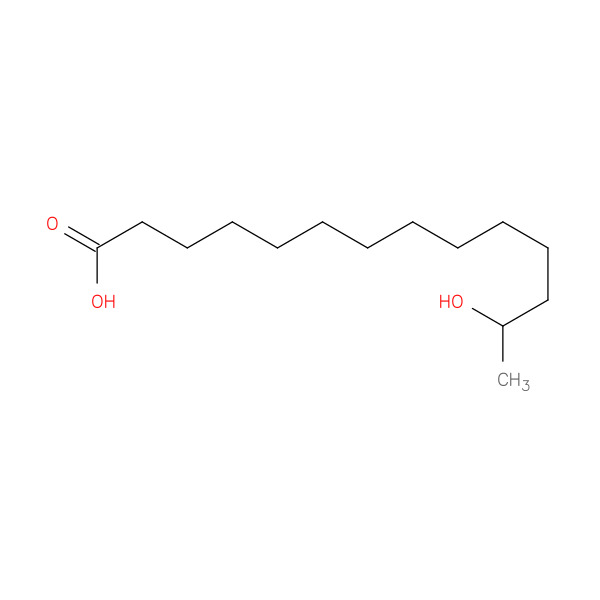 13-Hydroxymyristic acid 化学構造式