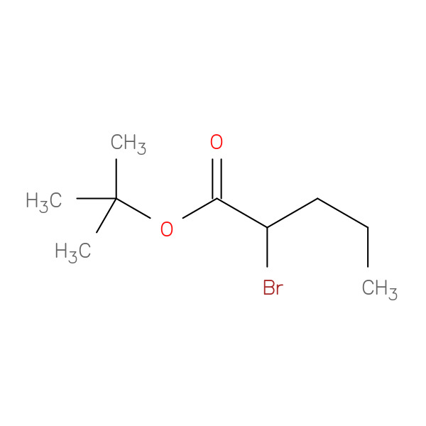 Pentanoic acid, 2-bromo-, 1,1-dimethylethyl ester 化学構造式