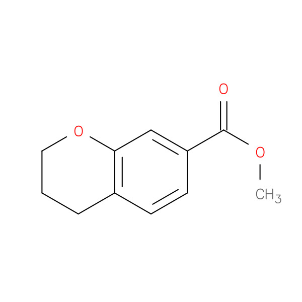 Methyl 3,4-dihydro-2H-chroMene-7-carboxylate 化学構造式
