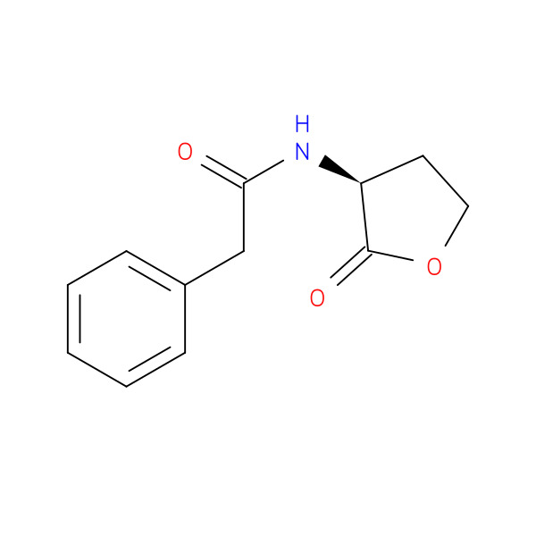 (S)-N-(2-Oxotetrahydrofuran-3-yl)-2-phenylacetamide 化学構造式