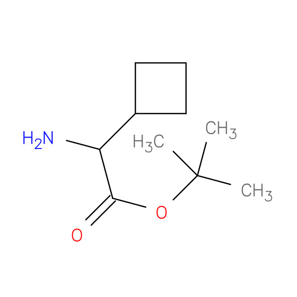 tert-butyl 2-amino-2-cyclobutylacetate 化学構造式
