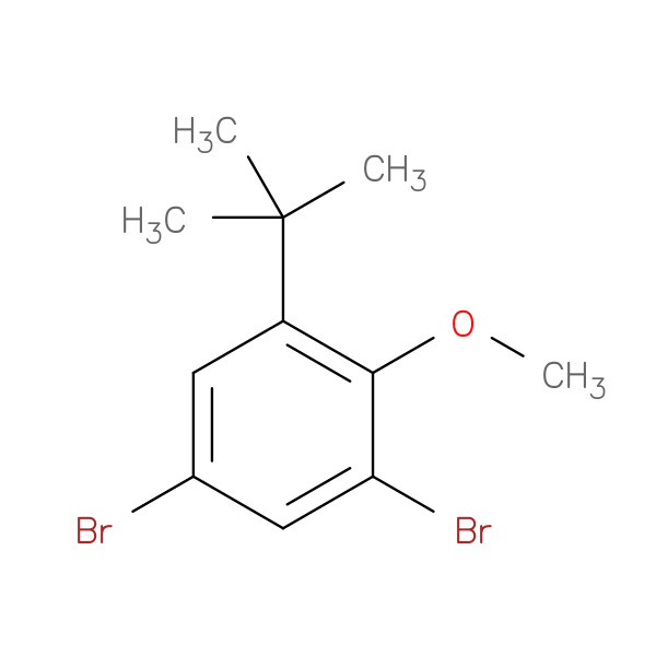 1,5-Dibromo-3-(tert-butyl)-2-methoxybenzene 化学構造式