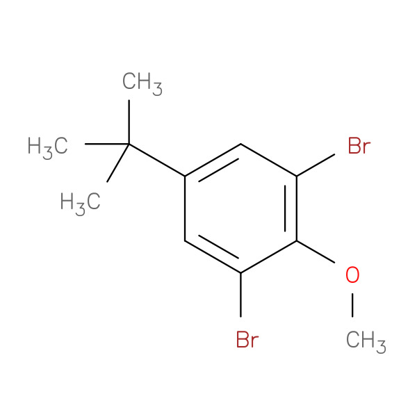 2,6-Dibromo-4-tert-butylanisole 化学構造式