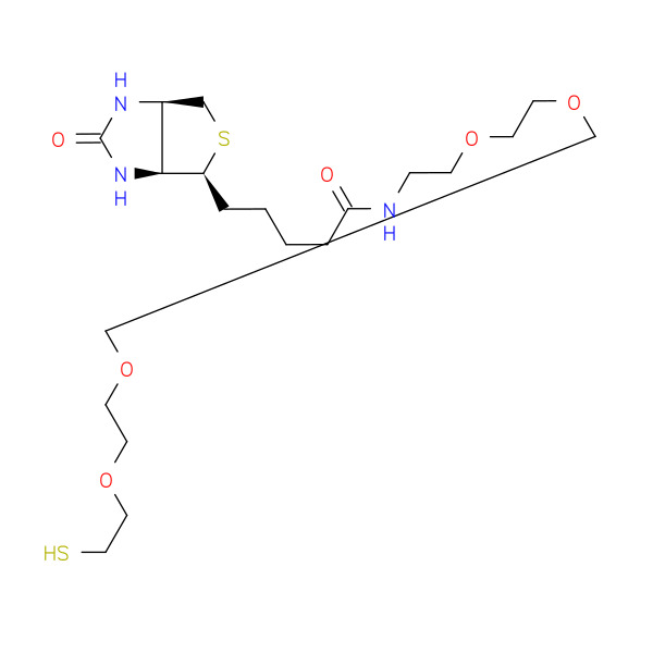 BIOTIN-PEG4-SH 化学構造式