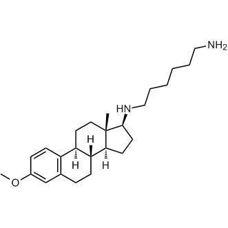 N1-((8R,9S,13S,14S,17S)-3-methoxy-13-methyl-7,8,9,11,12,13,14,15,16,17-decahydro-6H-cyclopenta[a]phenanthren-17-yl)hexane-1,6-diamine 化学構造式